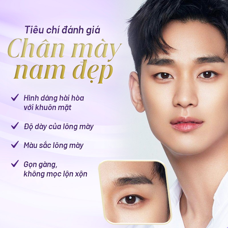 Phun mày sợi Đế Vương Nam